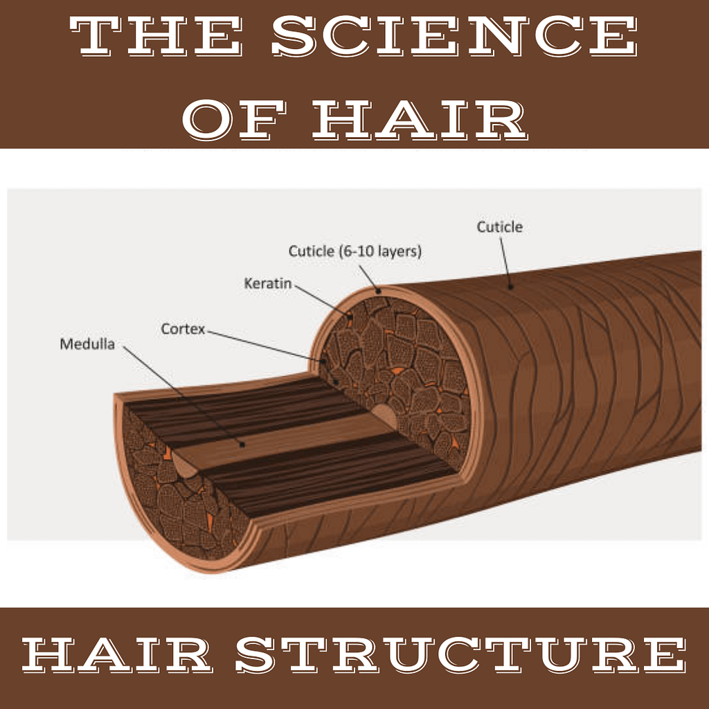Hair Science and Culture 