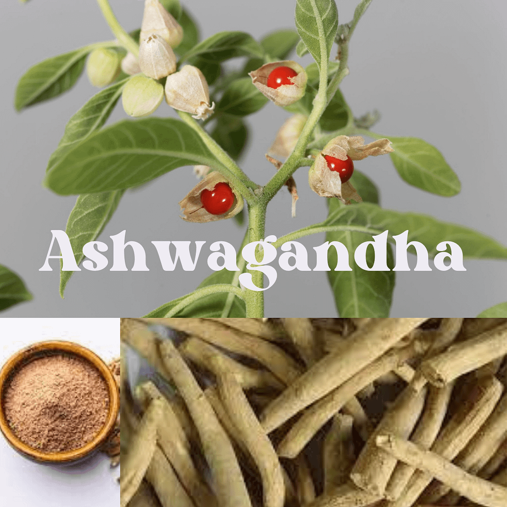 Ashwagandha benefits 