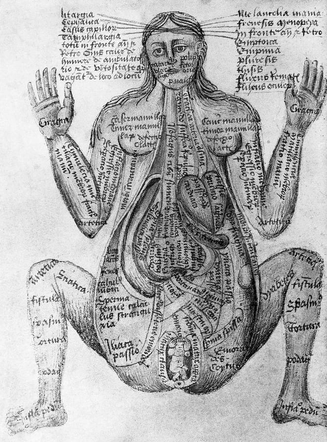 Galen became the first to speculate that particular functions are carried out in specific parts of the brain. Furthermore, as a healer to wounded gladiators, Galen peered into holes rent in human bodies by the violent combat of the arena. He made rudimentary descriptions of the body's major organs and fleshed out the description of what he saw as the varieties of human spirit. The liver created desire and pleasure, he said. The heart gave rise to courage and the warmer passions. And the brain contained the rational soul.