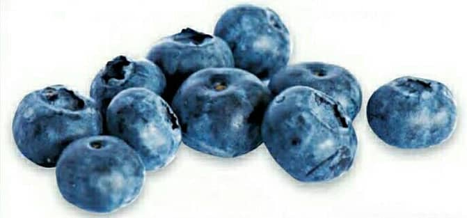 DIABETES INSIPIDUS / DIEBETES MELLITUS [ CLASSIFICATIONS ] - Blueberries are rich in acetylcholine and antioxidants, making them an excellent food for brain health.