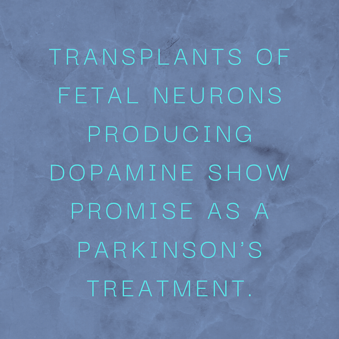 Transplants of fetal neurons producing dopamine show promise as a Parkinson's treatment.