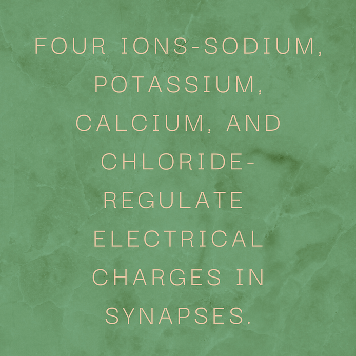 Four ions-sodium, potassium, calcium, and chloride-regulate electrical charges in synapses.