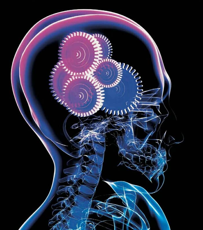 THE BRAIN should need no introduction. You should know it intimately. Afterwards all, the brain is what makes you you. But it's a paradox that the organ that lets you know and connect with the world understands so little about itself. Now, thanks to stunning research building upon decades-no, centuries-of investigation, science is peeling away the layers of mystery to reveal how three pounds
of flesh create an entire universe
inside your head.
A magnetic resonance image of the
human brain reveals its complex
internal structure.
